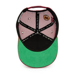 District V2 Trucker