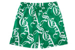 OE Mesh Shorts (Green)